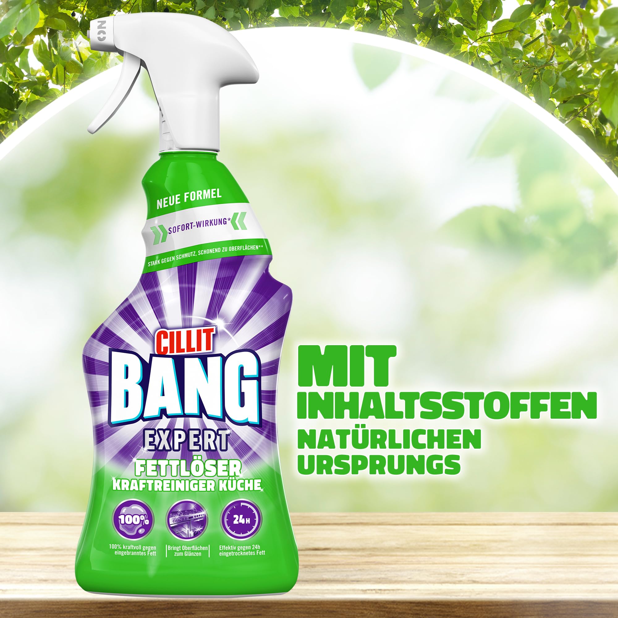 CILLIT BANG Expert Kraftreiniger Universal Fettlöser – Entfernt eingebranntes Fett – 6 x 750 ml