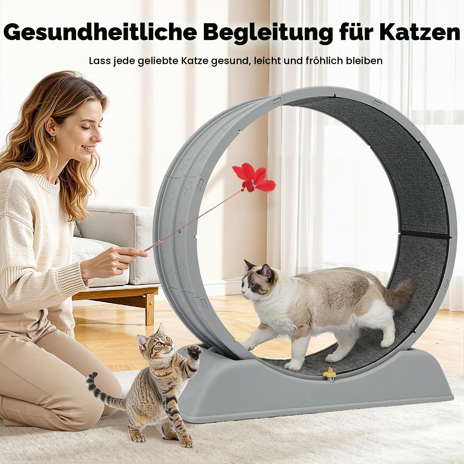 Katzenlaufrad 80cm – Großes Laufrad für Wohnungskatzen, Robuster Fitnessrad mit Sicherheitsschnalle, Teppich & Spielangel – Für alle Katzen bis 10kg (Grau)