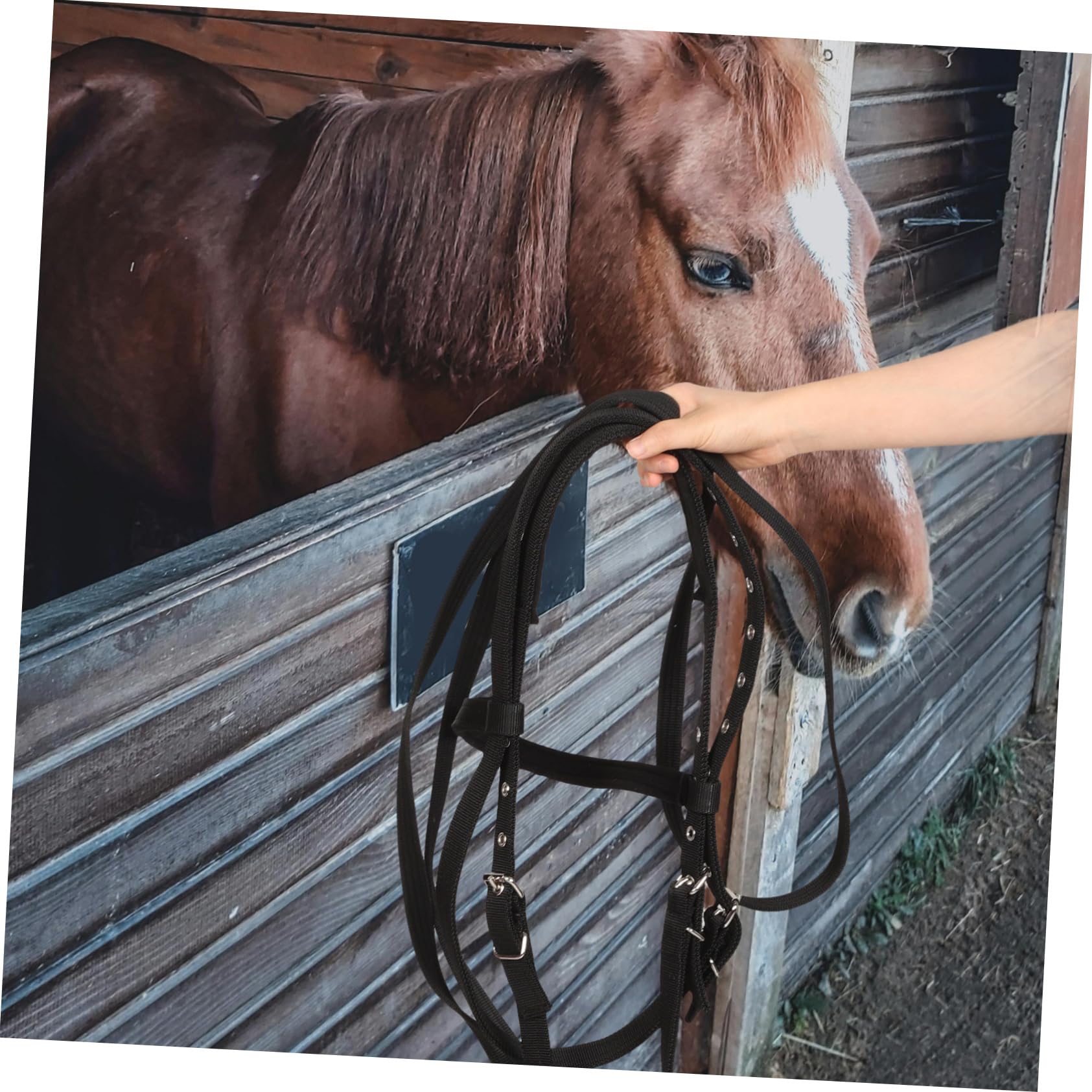 Cabezada De Nylon para Caballos Diseño Cómodo Mordida para Entrenamiento y Montura Talla Altura