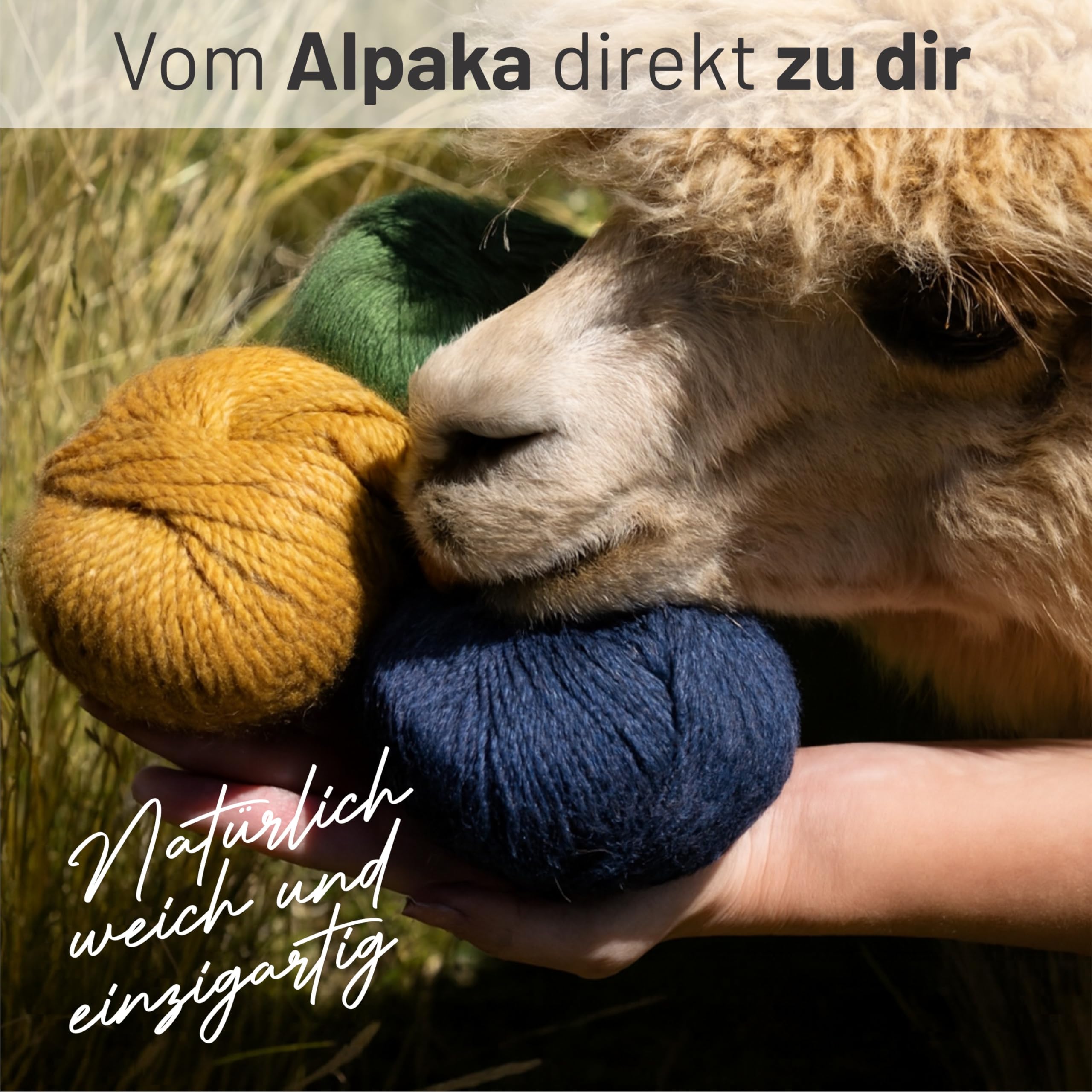 HANSA-FARM | Alpacare 100% die 1. maschinenwaschbare Baby Alpakawolle - 300 Set DK (6 x 50g) - kratzfreie Alpaka Wolle zum Stricken & Häkeln - Grau-Grün