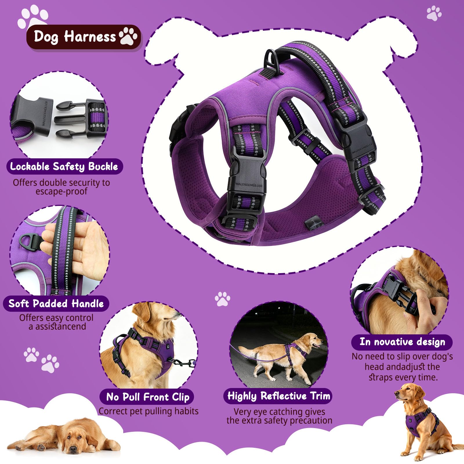Arnes Perro, Conjunto de arnés y Correa para Perros cinturón de Seguridad, comederos Plegables y dispensador de Bolsas para excrementos. Ideal para Entrenamiento, Paseos y Viajes