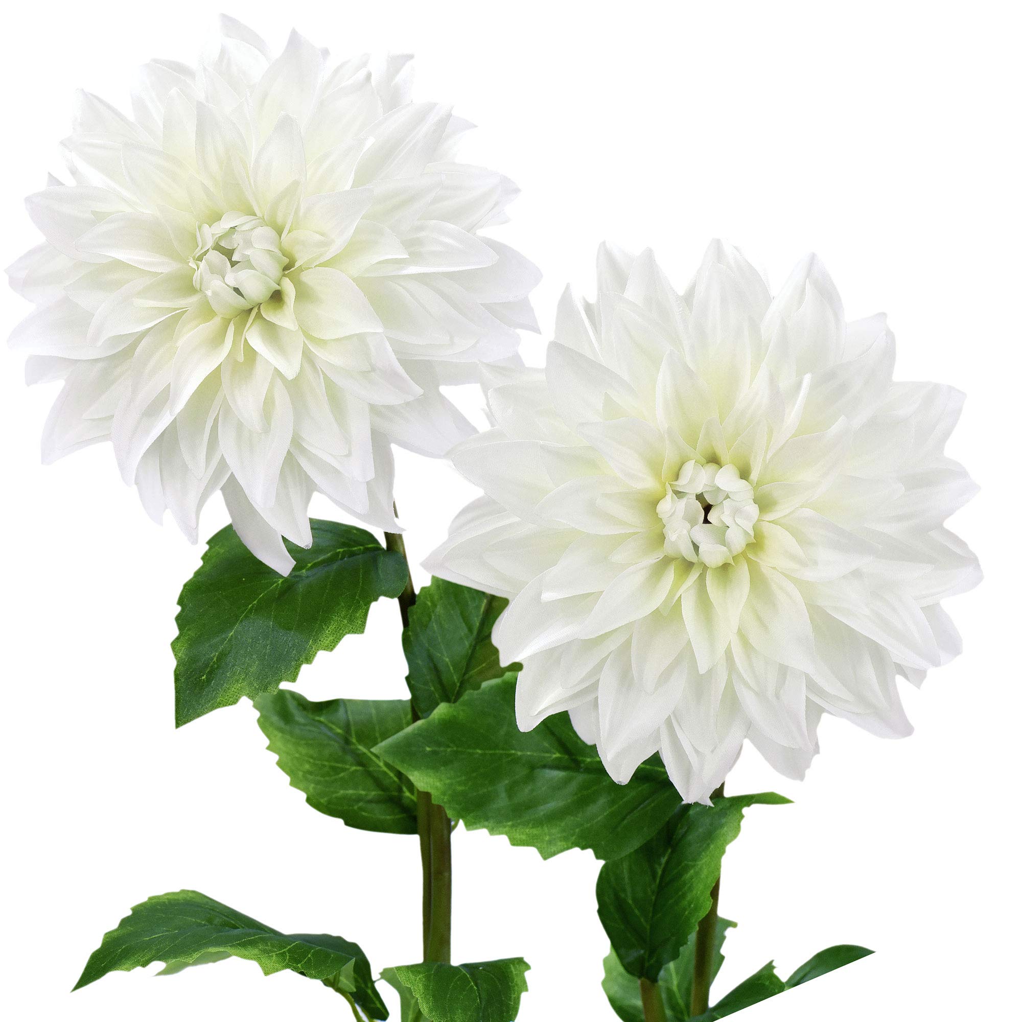 FiveSeasonStuff Artificial Flowers Dahlia Silk Flowers for Outdoors Indoors and Tall Vases 2 Stems (Blossom White)