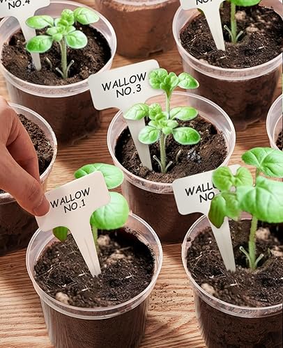 Miniatura 2 de Homenote Macetas transparentes para plantas de vivero, macetas de plántulas de 345 pulgadas con agujeros de drenaje, maceta para plantar flores,