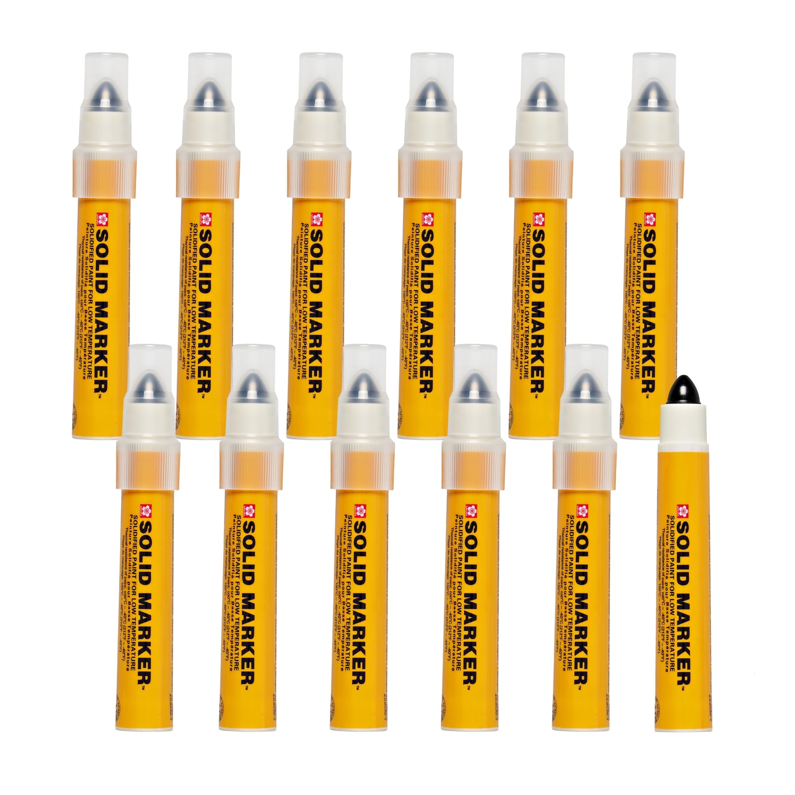 Amazon.com: SAKURA Mini Barrel Solid Paint Markers with Push Up