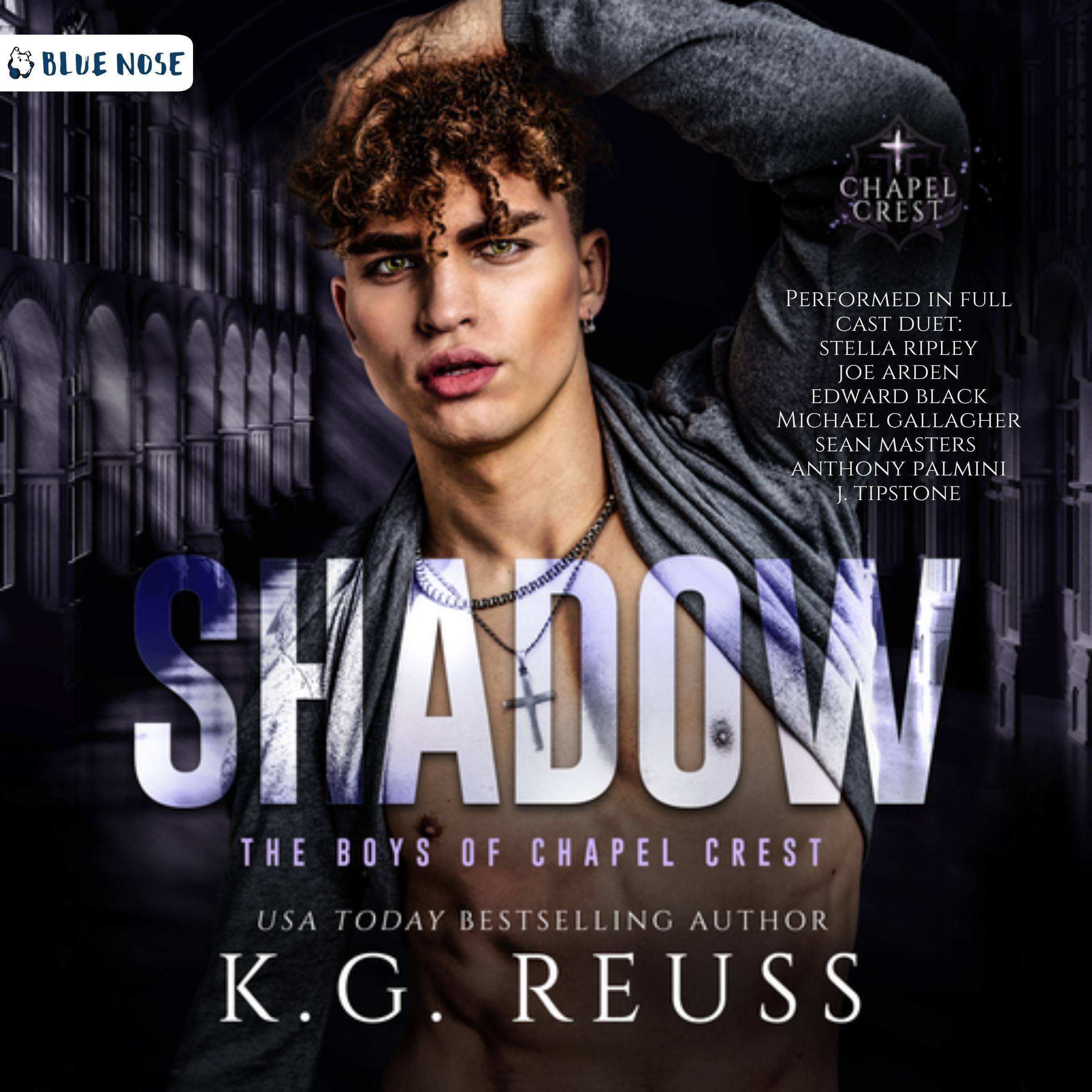 Cover art for Shadow