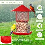 Bird Feeders for Outside Squirrel Proof. Cardinal Bird Feeder. Metal Squirrel Proof Bird Feeders. Wild Bird Feeder Hanging for Garden Yard Outside Decoration - 3.5 Lb