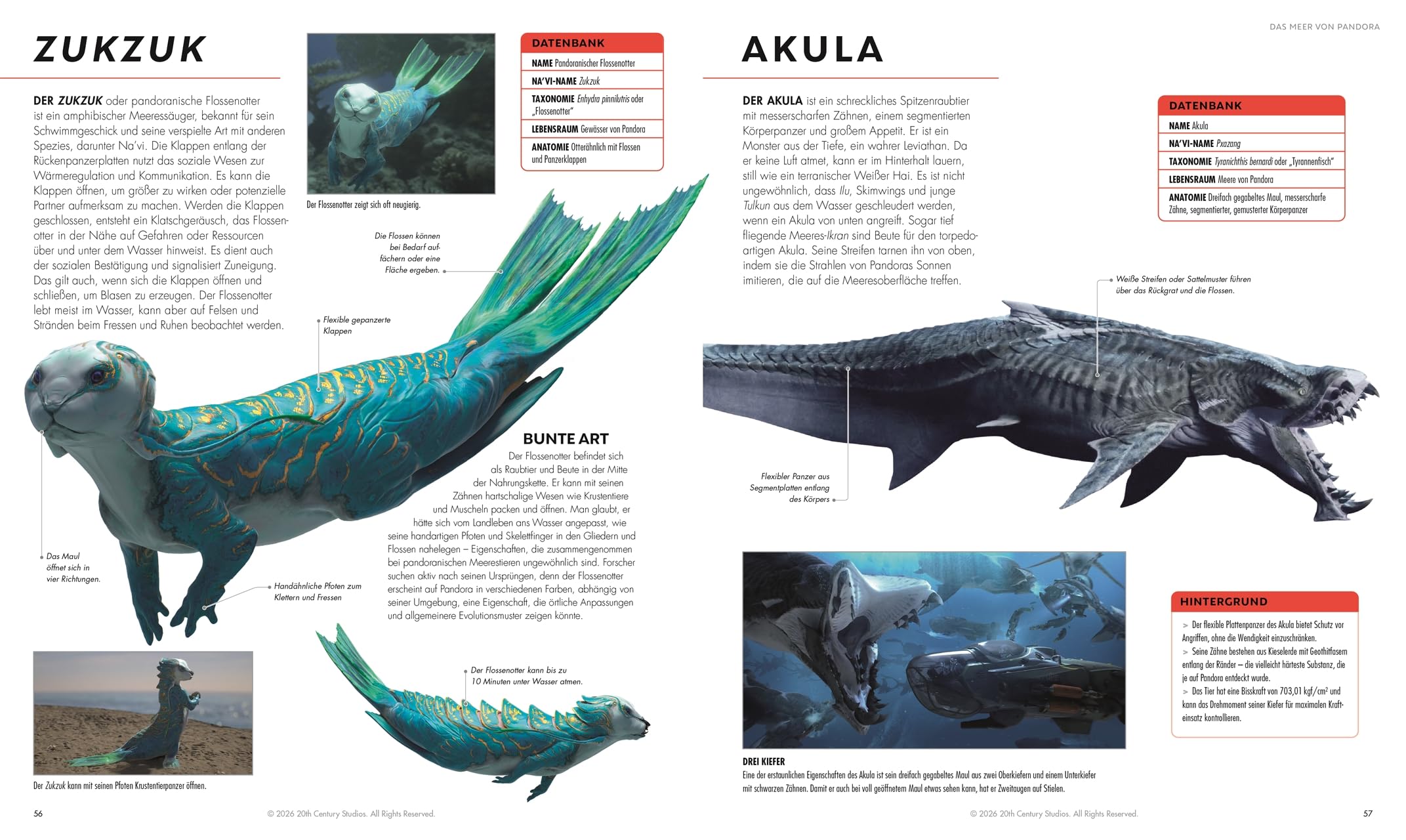 Avatar Fire and Ash Die illustrierte Enzyklopädie: Das offizielle Buch zum Film. Mit exklusiven Einblicken und spektakulären Originalbildern