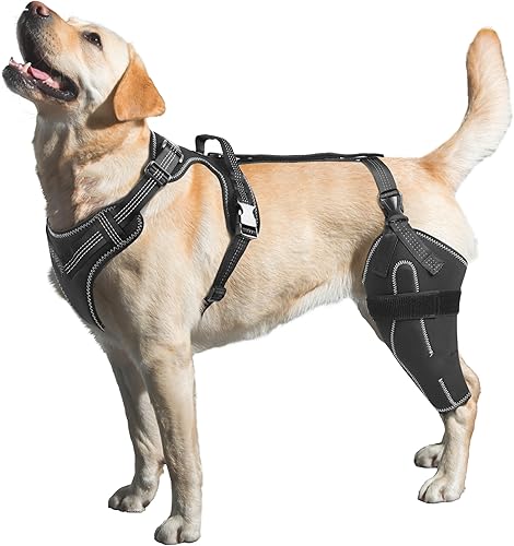 Rodillera para perro para pierna trasera desgarrada ACLCCL, soporte ajustable con suficiente envoltura y soporte y rótula luxante, soporte articular
