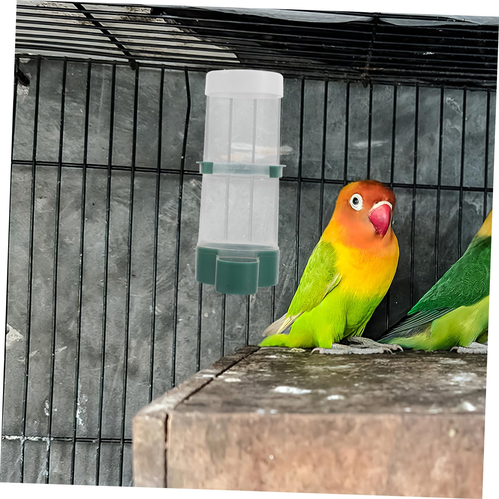 20stücke Teiliges Automatisches Vogel-wasserspender Käfige Futterspender Für Wellensittiche Nymphensittiche Kanarienvögel Und Andere Vogelarten Einfache Nachfüllung