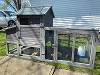 Review Image by Lisa Willman Lisa Willman