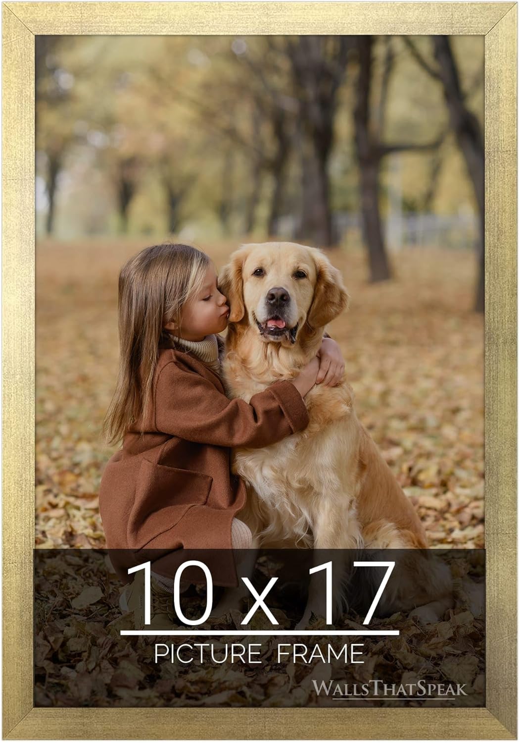 wallsthatspeak 10x17 Gold Picture Frame for Puzzles Posters Photos or Artwork
