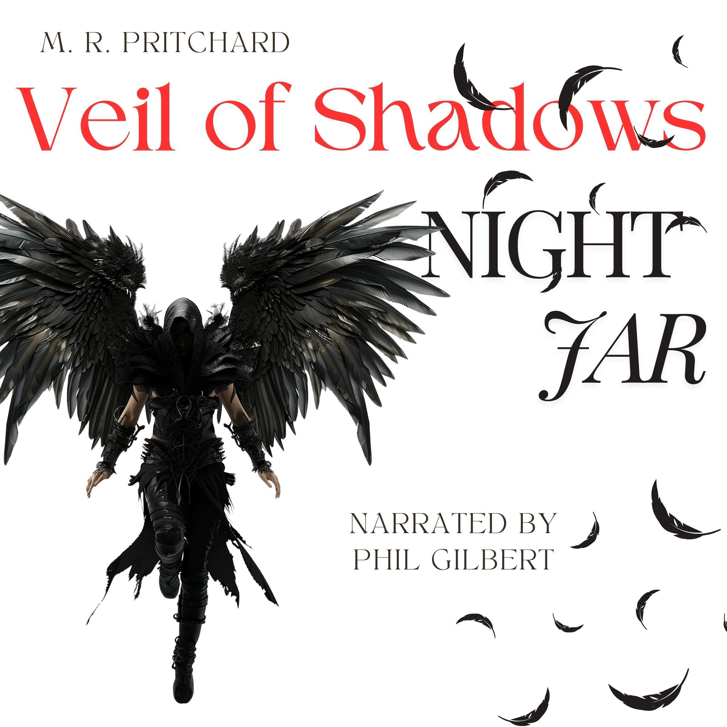 Cover art for Nightjar