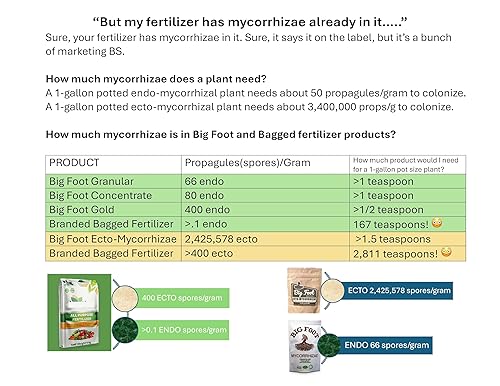 Miniatura 6 de Big Foot Mycorrhizae for Plants, Potted Plants and Gardens - Concentrate Fully Dissolves in Water, Year Round Organic Fertilizer for Root Growth and