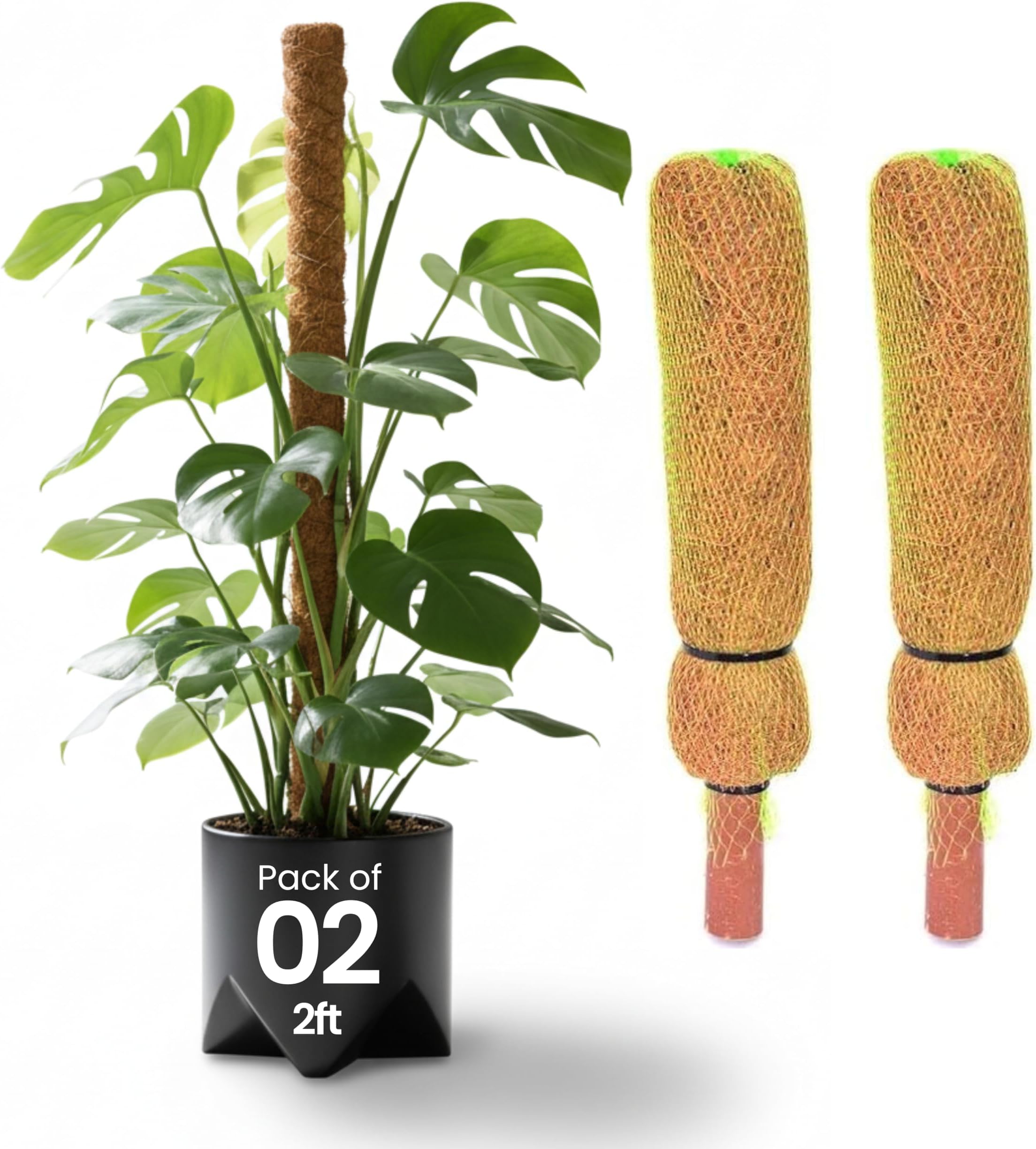 Bio Blooms Agro India Pvt. Ltd. Coco Pole - Coir Moss Stick | Plant Creepers Support | Brown | 2 feet | 2 Pieces | Indoor and Outdoor Uses |