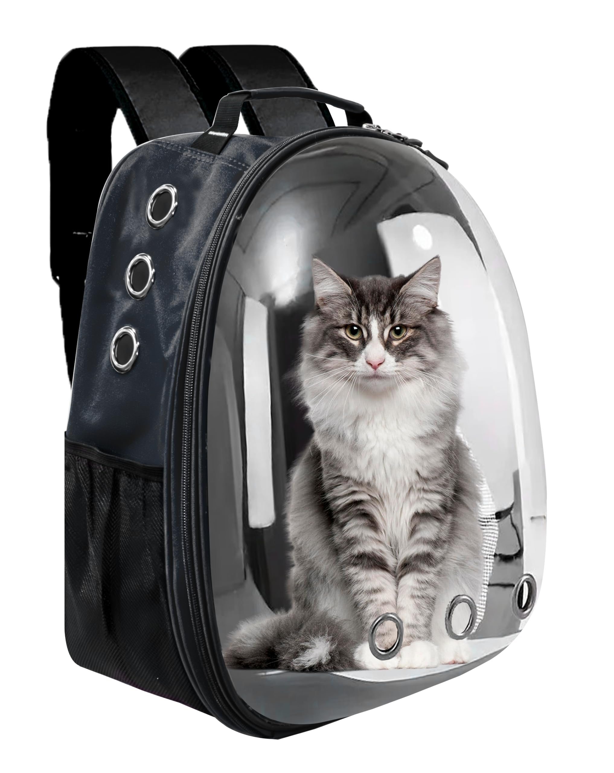 Buraq Economy Cat Bag Space Transparent Air Breathable Pet Bag Transparent Carrier Backpack, Travel, Hiking and Outdoor for Puppies & Cats (Black) (B09234ZCD9) Amazon Price History, Amazon Price Tracker