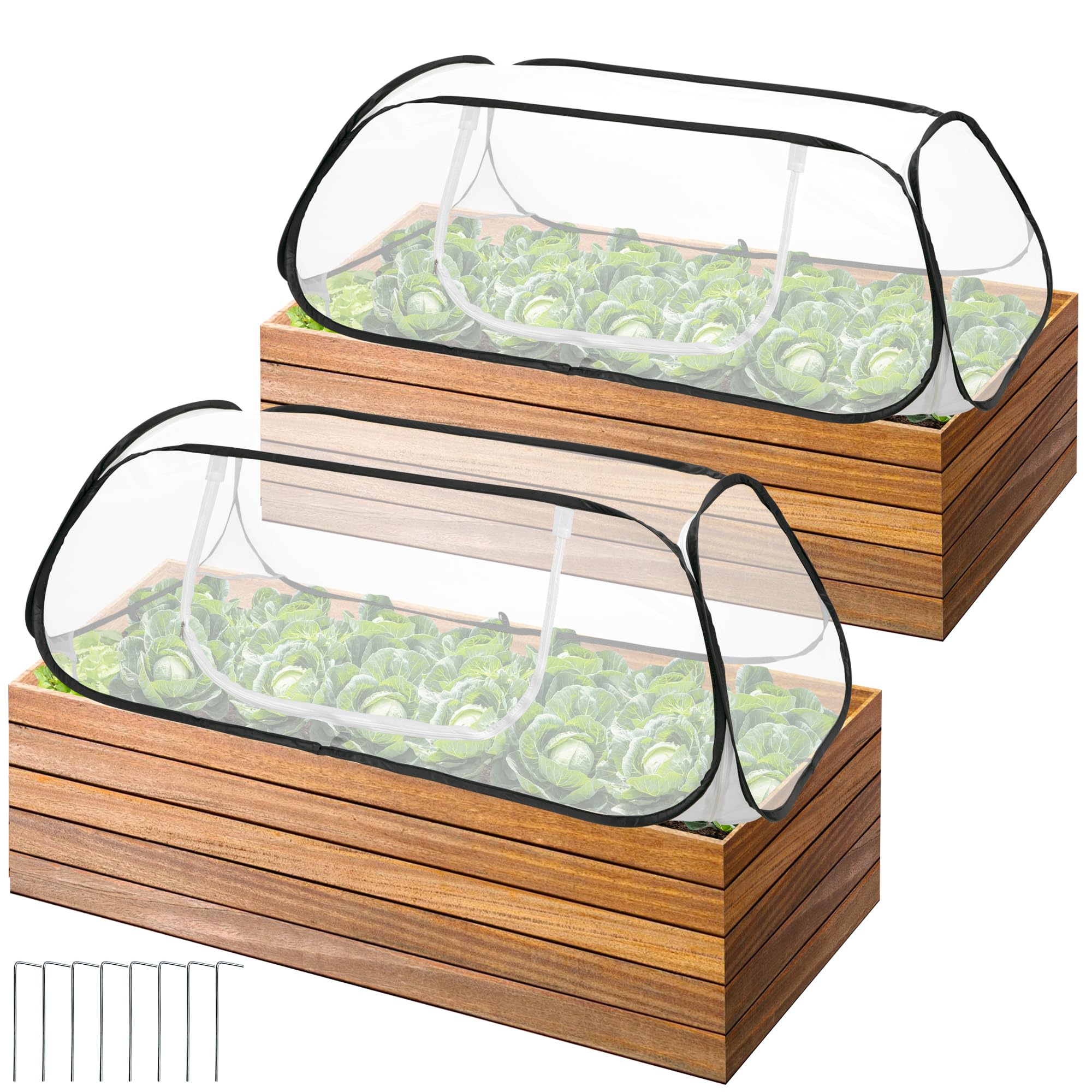 PURPLE STAR 1N Pop Up Plant Cover
