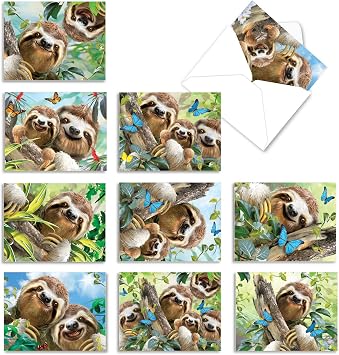 The Best Card Company - 10 Blank Animal Cards Boxed 4 x 5.12 Inch - Assorted Pets, Zoo, Wildlife Cards - Smiling Sloths AM6864OCB-B1x10