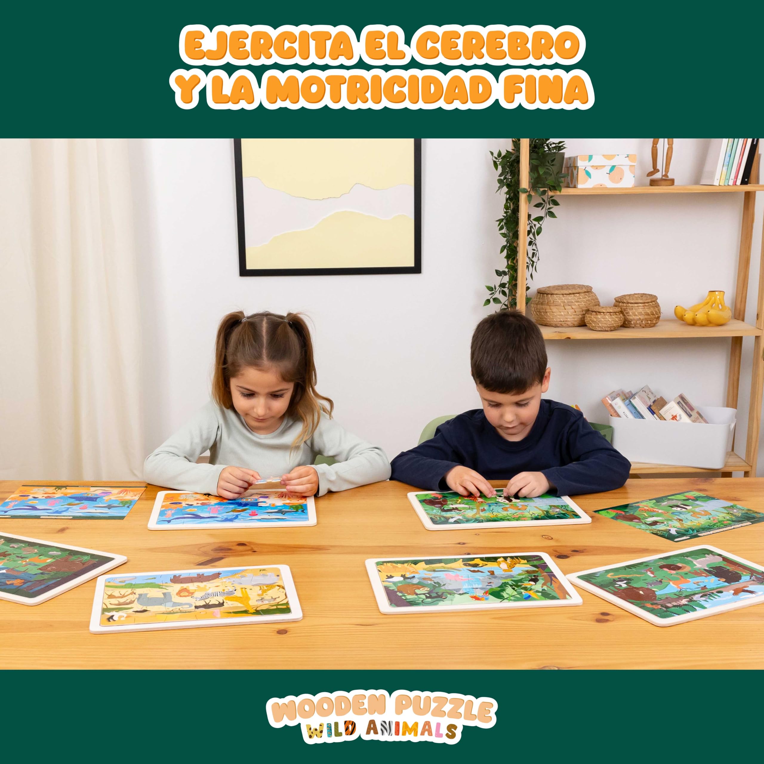 BONNYCO Puzzle Madera para Niños 6 Sets 24 Pcs, Animales de Diferentes Ecosistemas. Puzzles Infantiles con Tablero, Juguetes Educativos, Regalos para Niños 3 a 8 Años, Navidad