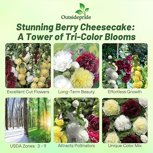 Miniatura 2 de Outsidepride Perenne Alcea rosea Berry Cheesecake Hollyhock Garden Flower Seeds - 50 Semillas