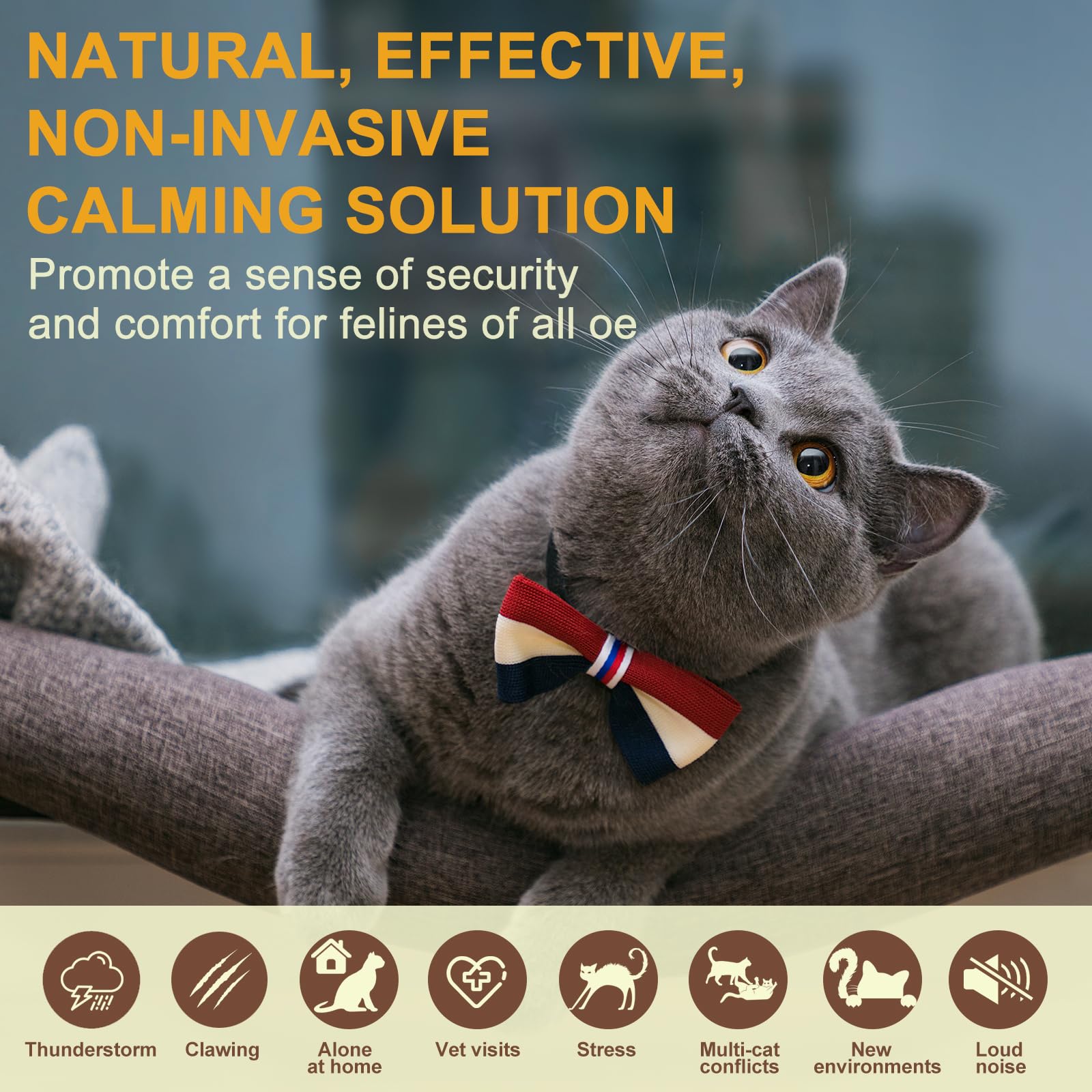 Diffuseur de phéromones apaisantes pour chats, soulage l'anxiété et le stress, diffuseur apaisant pour chats 3 recharges, réduit les combats et les griffures (3)