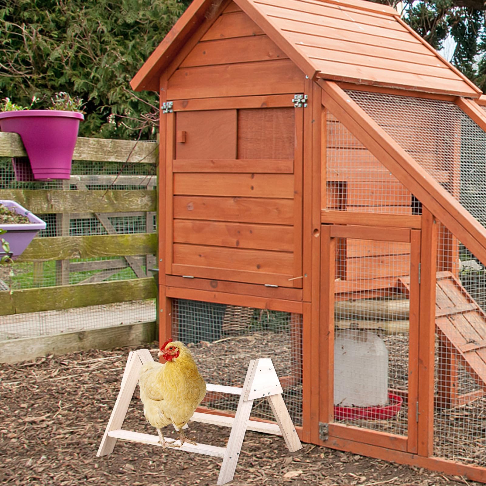 GALPADA Posatoio per Intrattenimento in Legno Beige Supporto per Galline e Addestramento per Polli da Gabbia Uccelli Domestici per Uso Interno