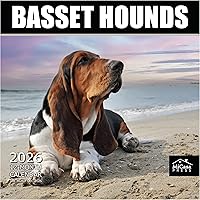 Vista 8 de MICASA PRESS Corgi Butts - Calendario de pared 2026 de 12 meses 12 x 24 pulgadas abierto Papel grueso y resistente Regalo de vacaciones