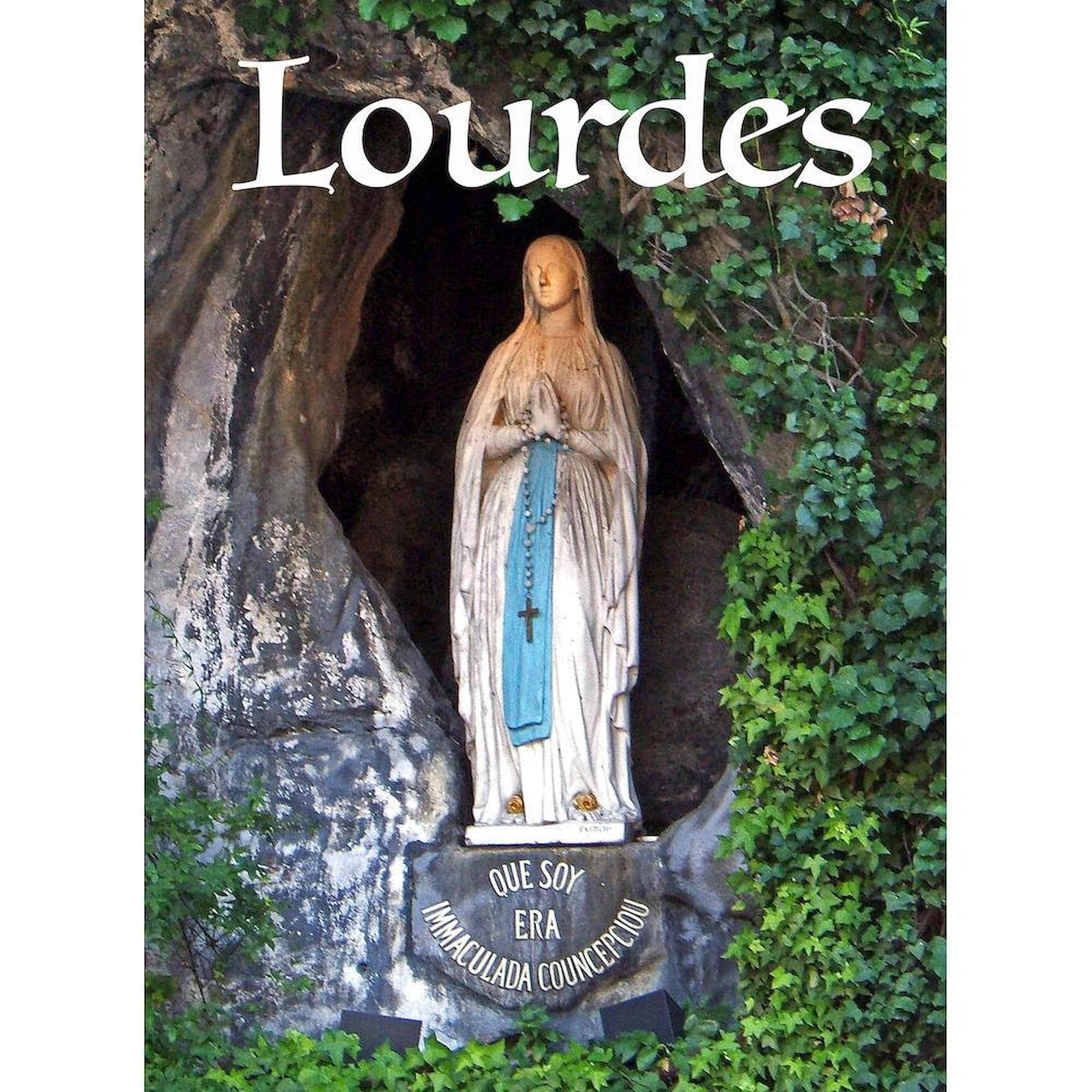 CafePress Virgin Mary Lourdes 1 Queen Duvet Cover, Printed Comforter Cover, Unique Bedding