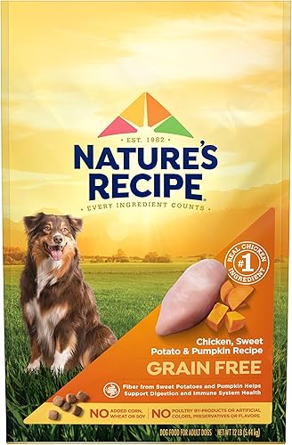 Comida seca Nature's Recipe para perro libre de granos