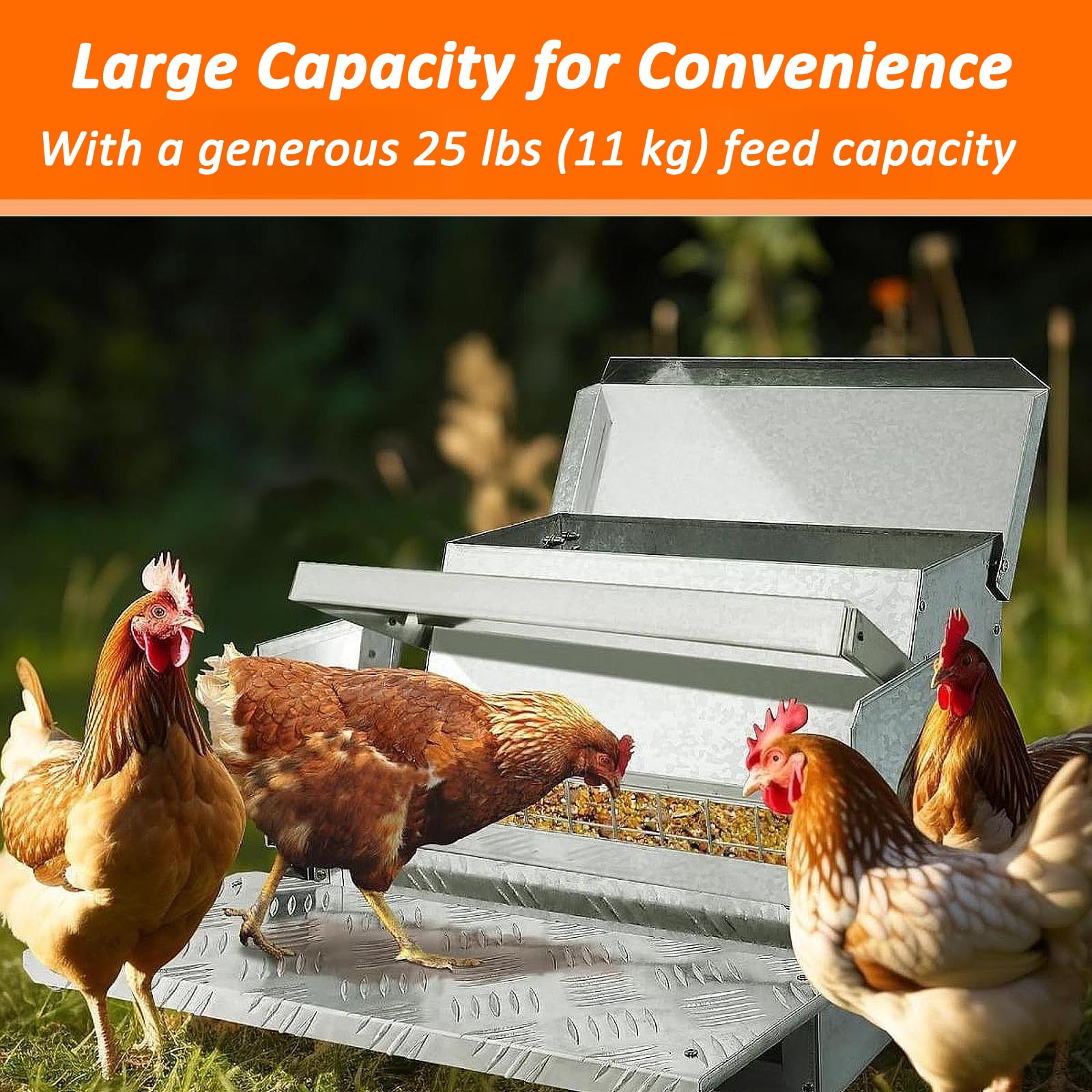 Comedero automático para Pollos de 25 Libras, comedero para Aves de Corral de Acero galvanizado con Resistente a la Intemperie/prevención de Aves, para comederos de 6 a 12 Aves de Corral, Patos
