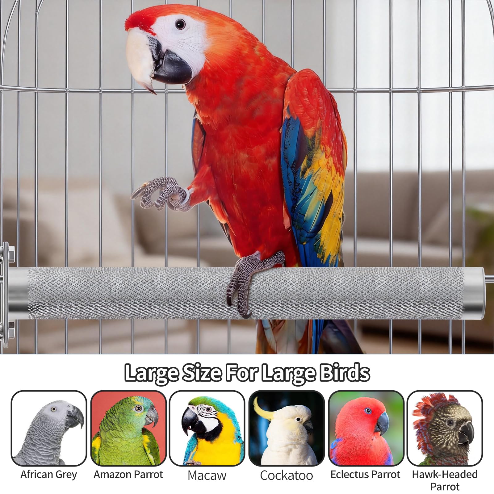 AOTU Percha grande de acero inoxidable para loros, soporte para pájaros, para jaula, percha duradera para cortar picos y garras para pájaros, accesorio de jaula de loro (L: 30 x 3 cm)
