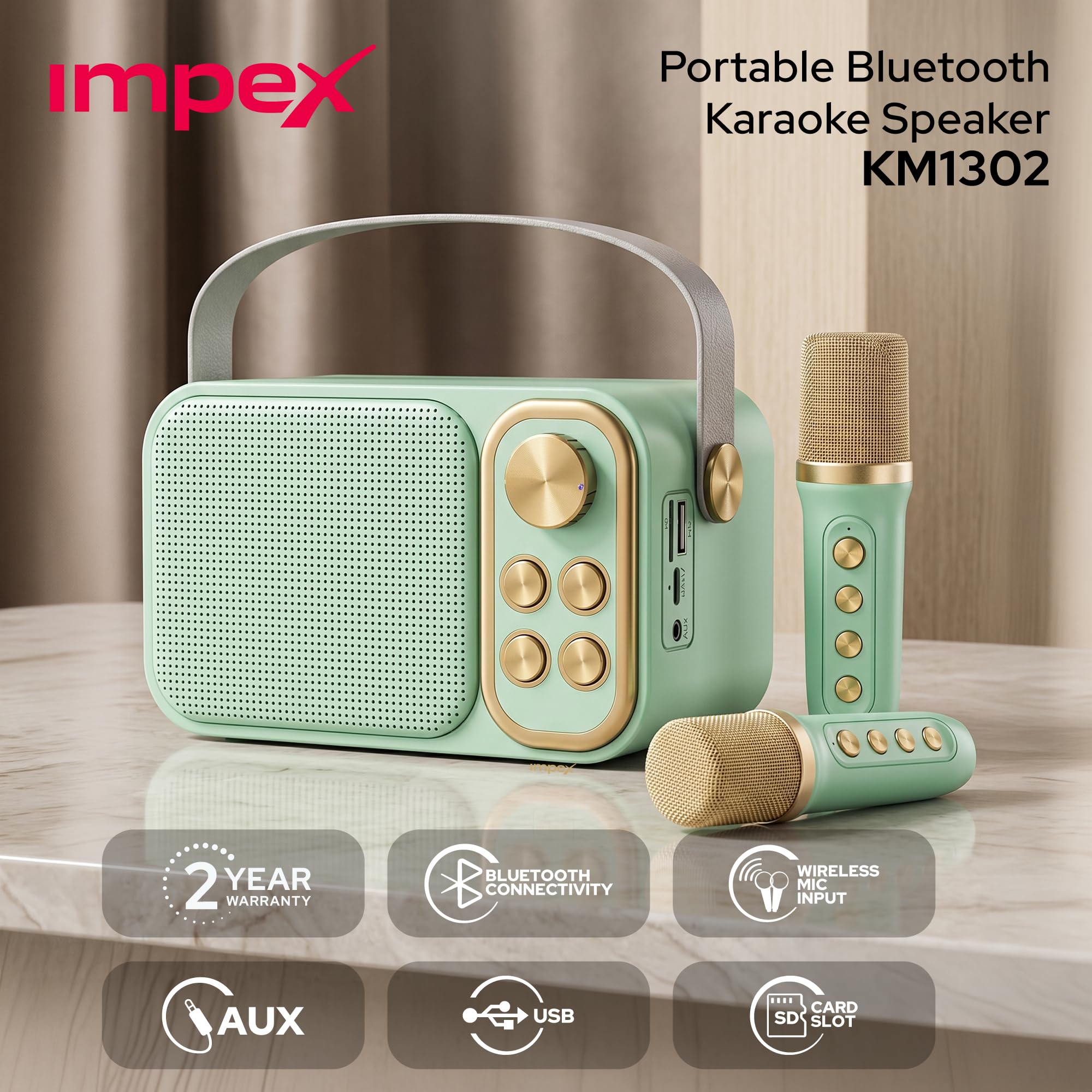 Portable Bluetooth Karaoke Speaker with 2 Wireless Microphones
