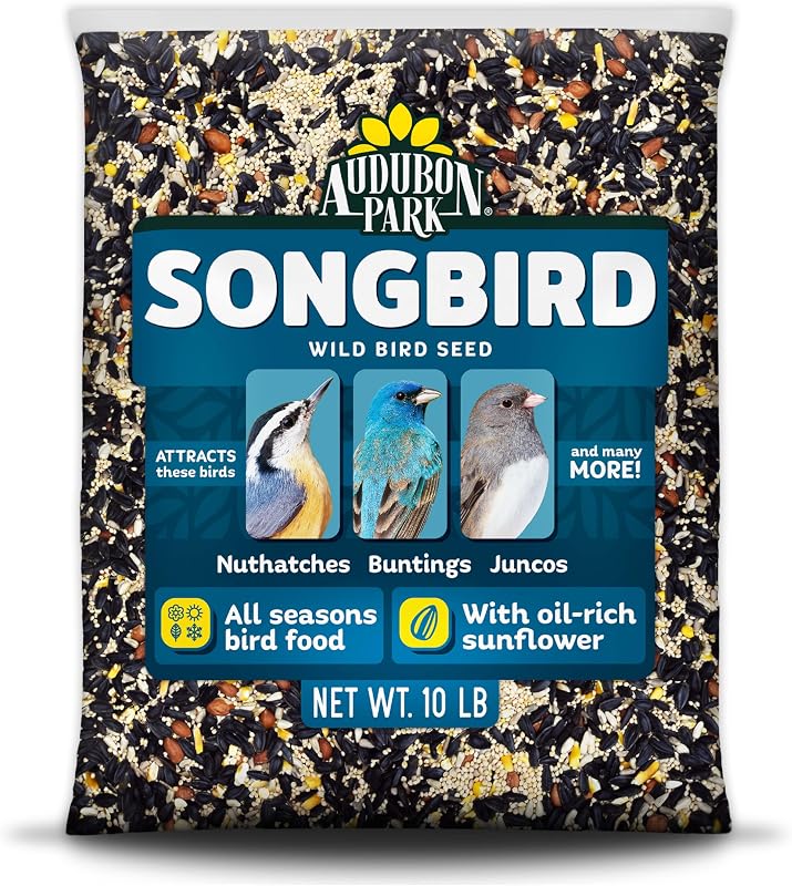 Semilla para pájaros silvestres Audubon Park Songbird, 10 lb | Alimento para pájaros al aire libre durante todo el año para comederos exteriores