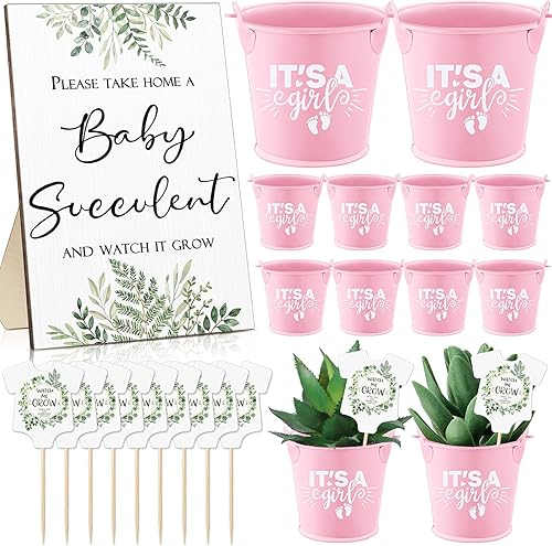 Suzile 101 piezas de recuerdos de baby shower para invitados, 1 decoración de baby shower, 50 mini cubos de metal pequeño, 50 etiquetas de