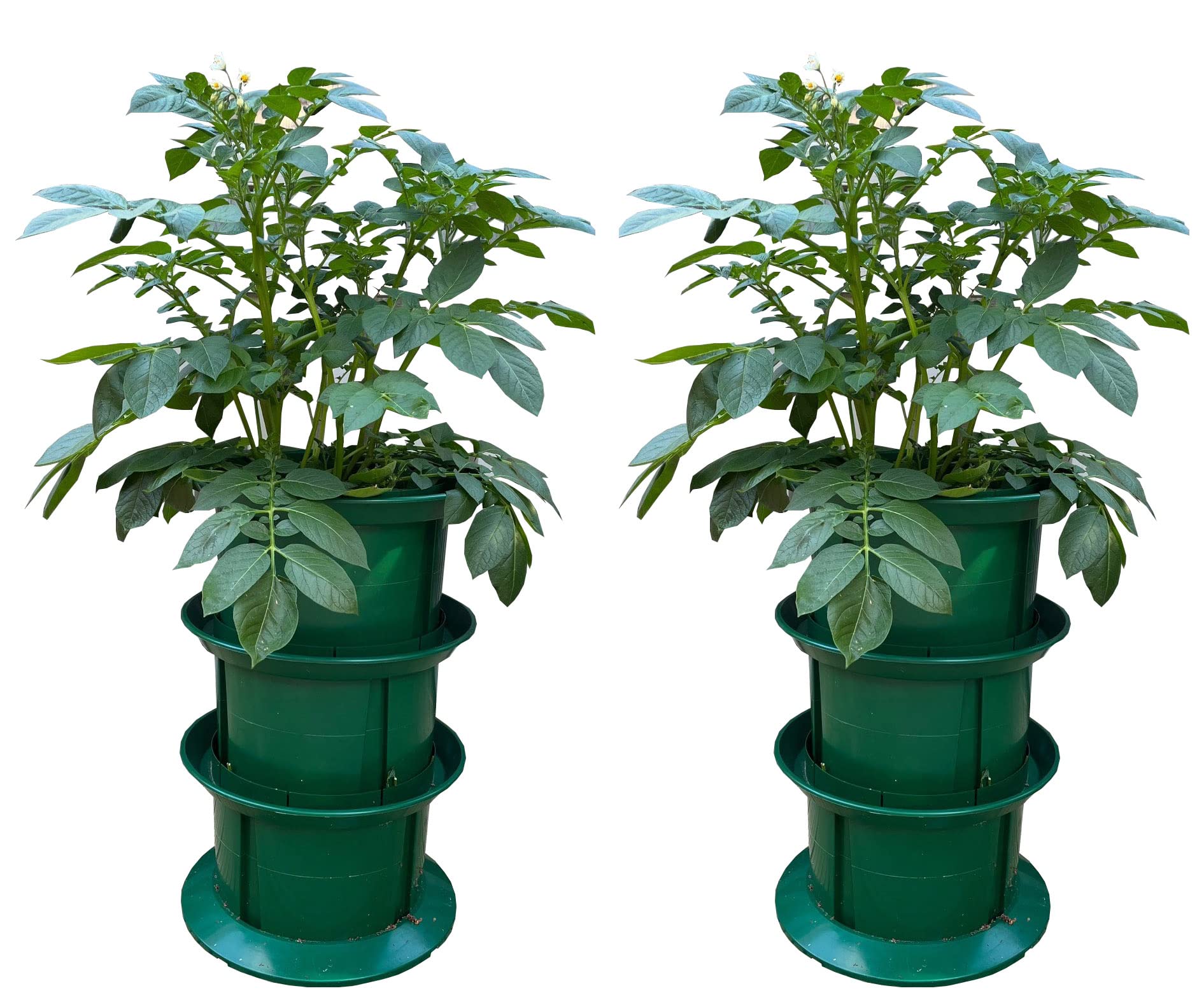 Selections Grow Your Own Platform Patio Potato Planters with Layering Up Collars - Pack of 2