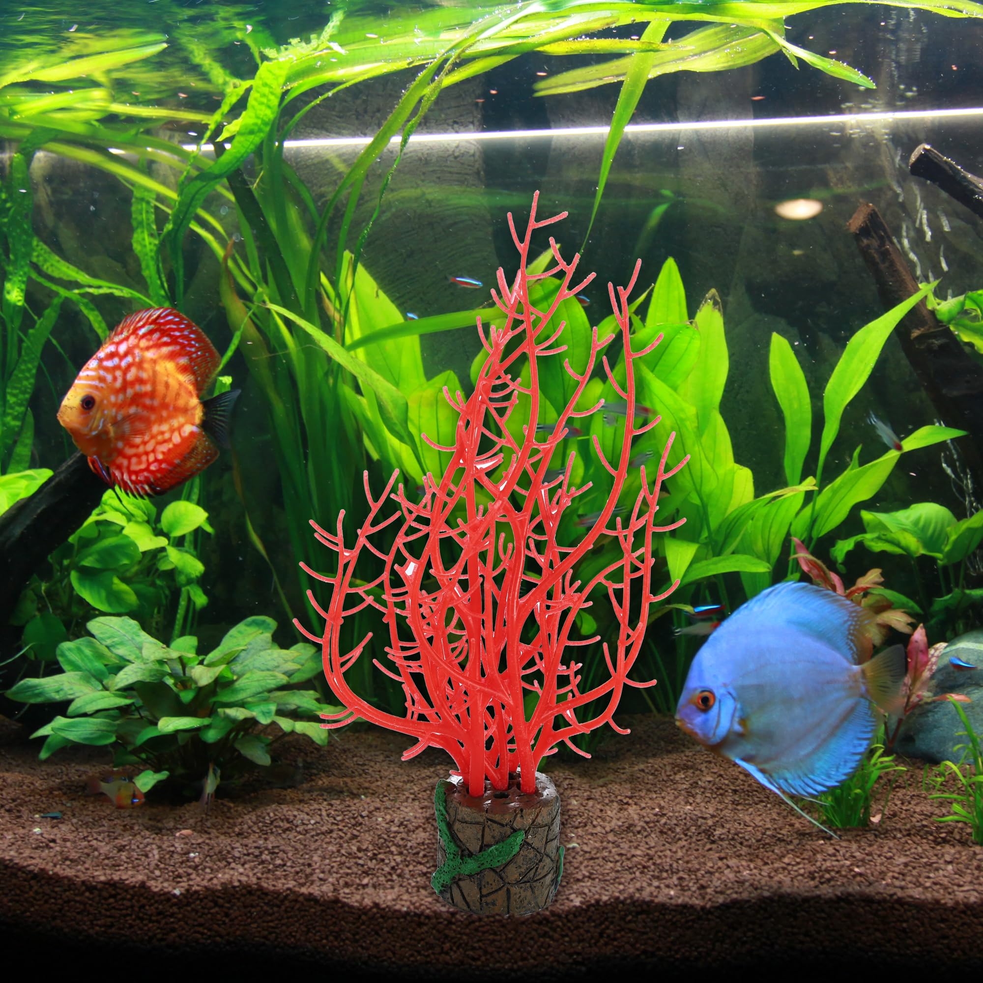 Piante Corallo Artificiale Per Acquario - 2 Pezzi, Silicone, Con Ventosa, Effetto Fluorescente, Viola - Foto 4