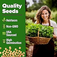 Vista 3 de HOME GROWN Más de 1000 semillas de cilantro para plantar en interiores o exteriores, hierbas tradicionales sin OMG, semillas de plantas de cilantro