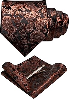 JEMYGINSMens Solid Color Paisley Necktie and Pocket Square with Tie Clip Sets