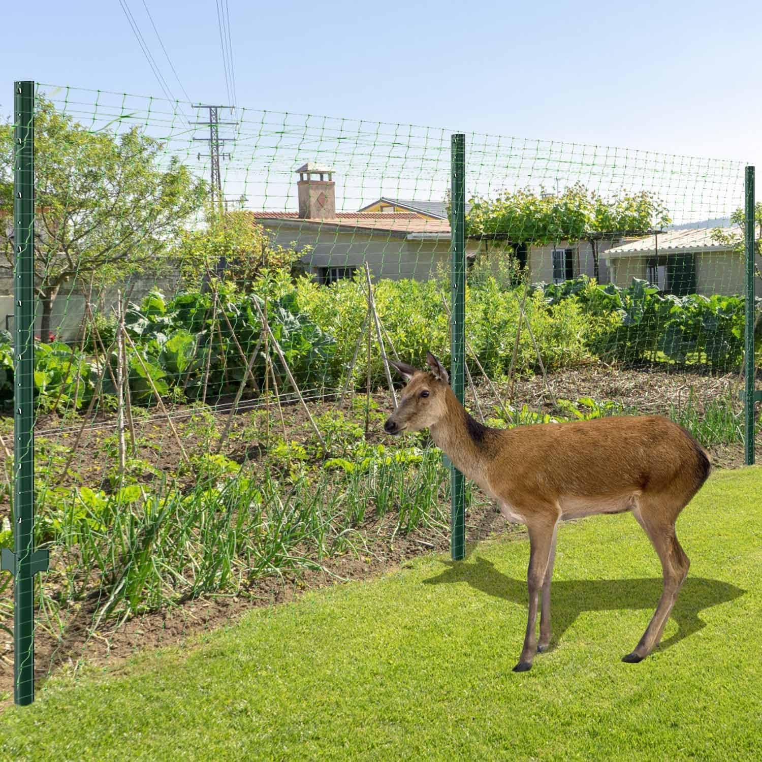 LATERN 2,1m x 30,5m Rete Anti-Uccelli in Plastica, Rete per Piante da Giardino Rete di Protezione per Frutto Alberi Verdure Fiori Piante Vigneti Recinzione - con 50 Fascette + 10 Picchetti a U (Verde)