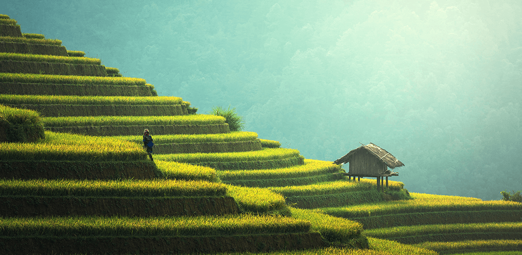 Farm 4K Wallpaper:Amazon.co.uk:Appstore for Android