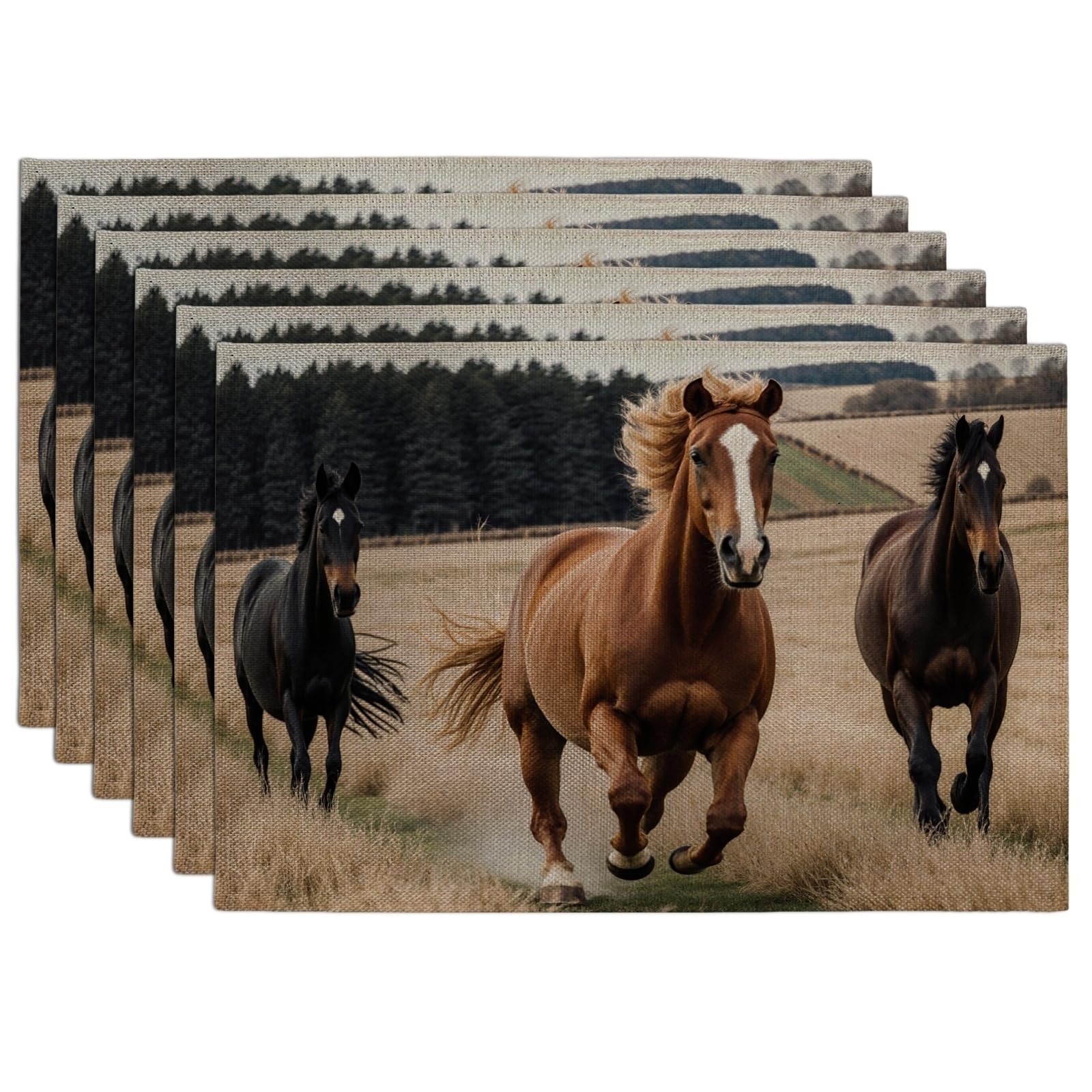 Running Horses Placemats, Rustic Country Style Table Mats for Dining Room, Farmhouse Non-Slip Washable Indoor Outdoor Kitchen Decorative Placemat Set of 6
