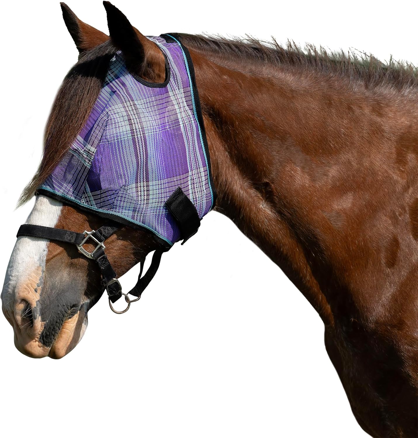 Kensington Fly Mask w/Web Trim Dual Ear Opening & Forelock Freedom Size: XXL-Draft Color: 2017 - Lavender Mint