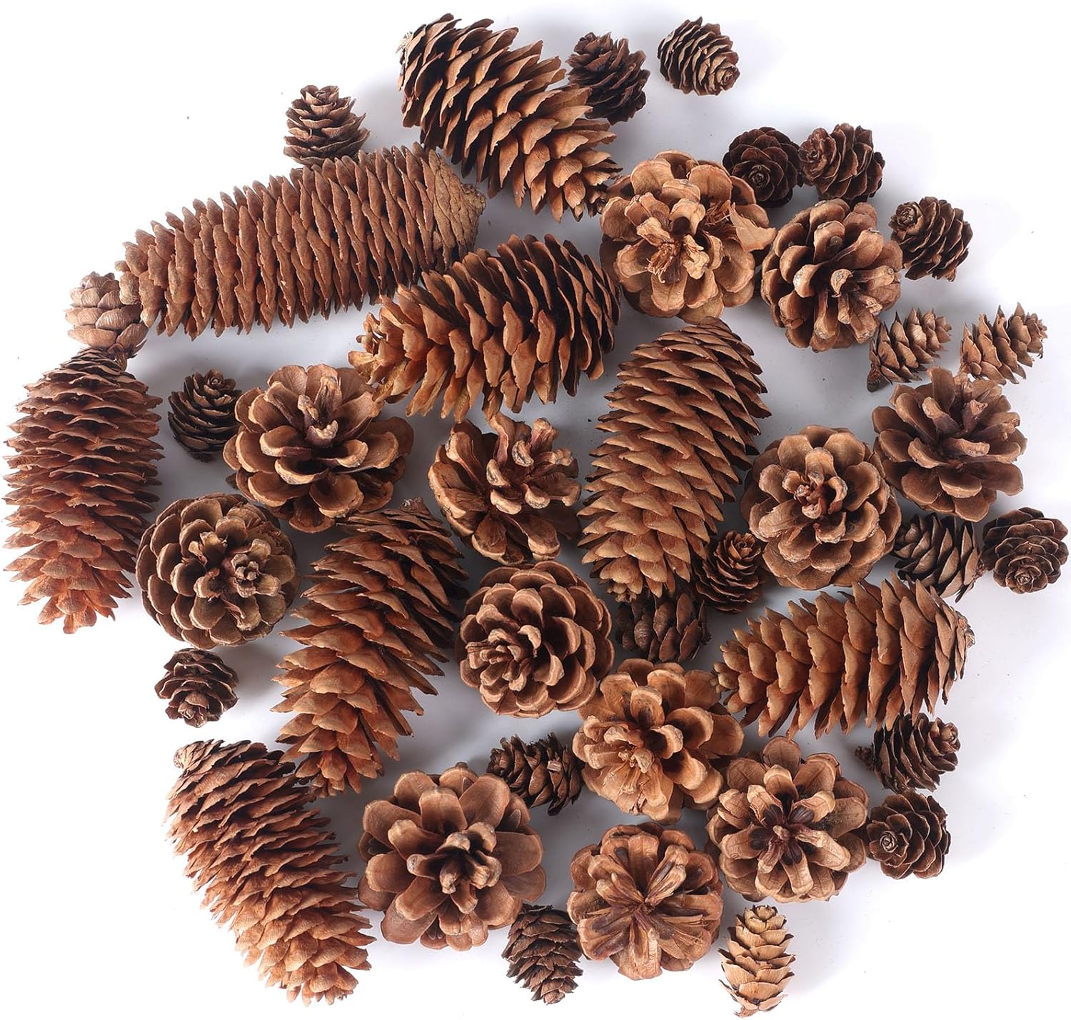 JOHOUSE 40PCS Natural Pine Cones Bulk, Pinecones...