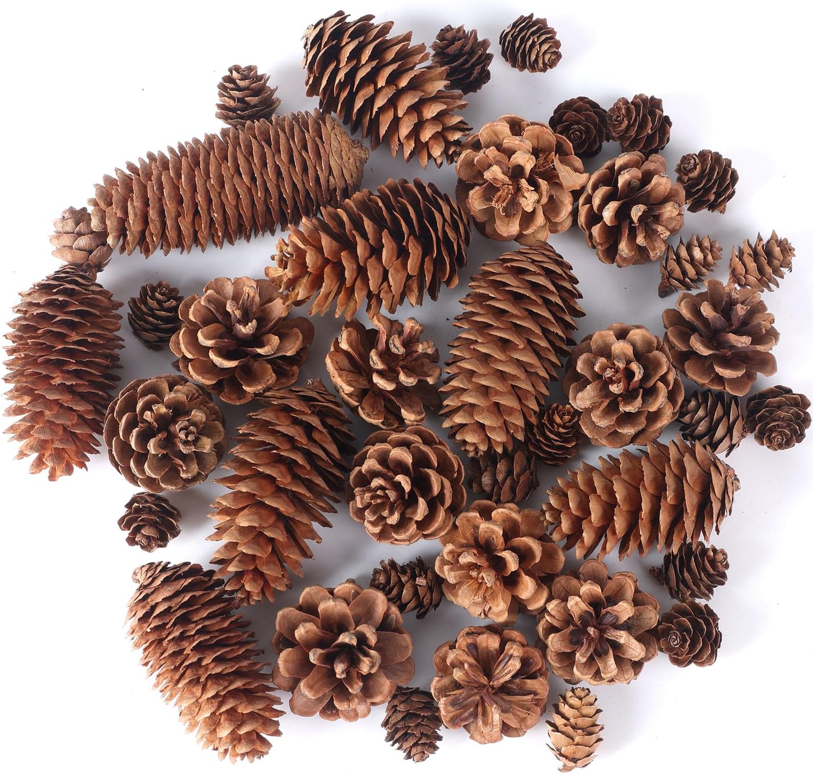 JOHOUSE 40PCS Natural Pine Cones Bulk, Pinecones Decorations Pine Cone Ornaments for Crafts Thanksgiving Christmas Wreath Table Bowl Decor, Winter Vase Filler