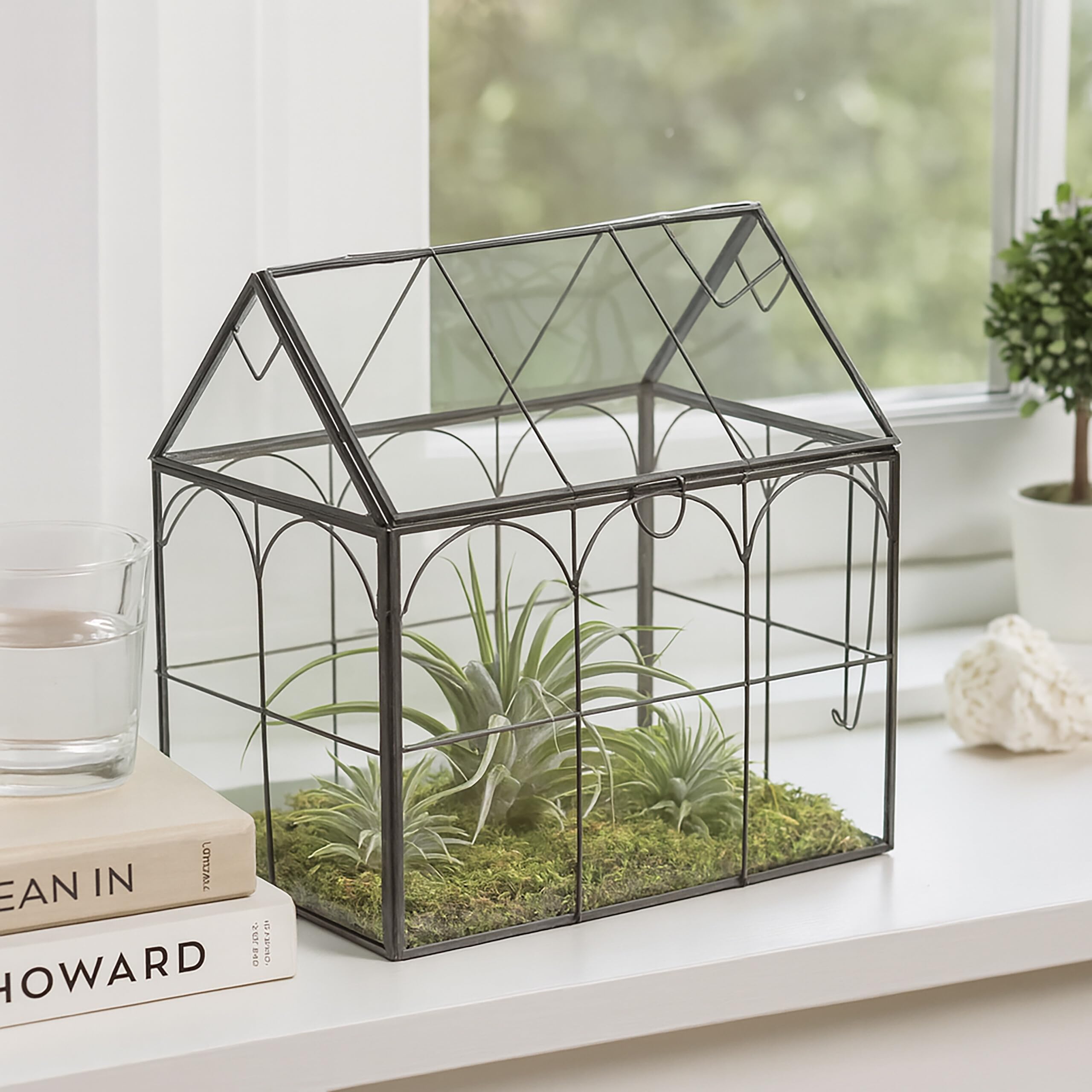 Relaxdays Terrarium pour Vos Plantes, décoratif et Pratique, pour Le Rebord de la fenêtre, 20 x 24,5 x 13,5 cm, Noir