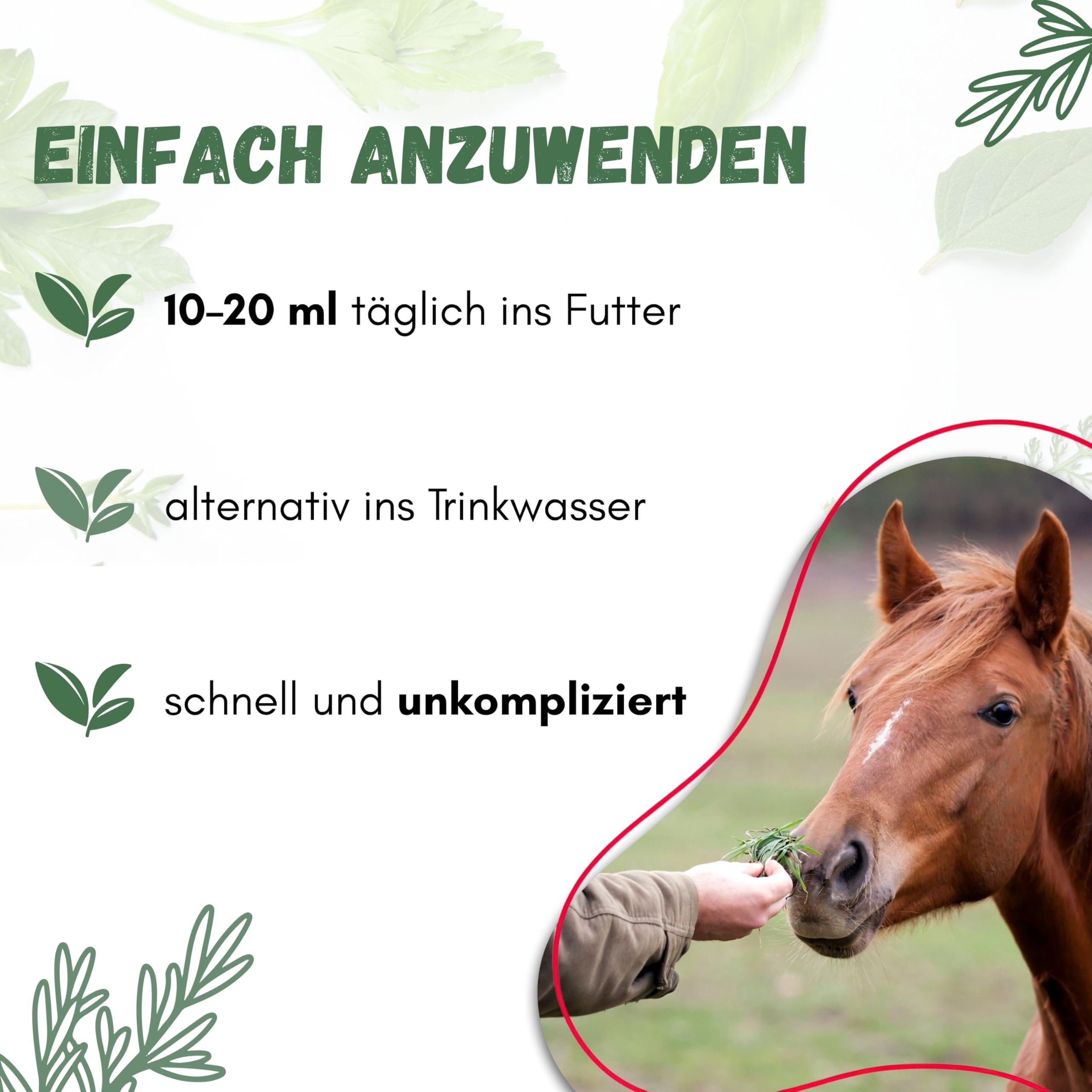 Mazerat-pro Horse 50 fermentierte Bio-Kräuter Ergänzungsfutter für Pferde
