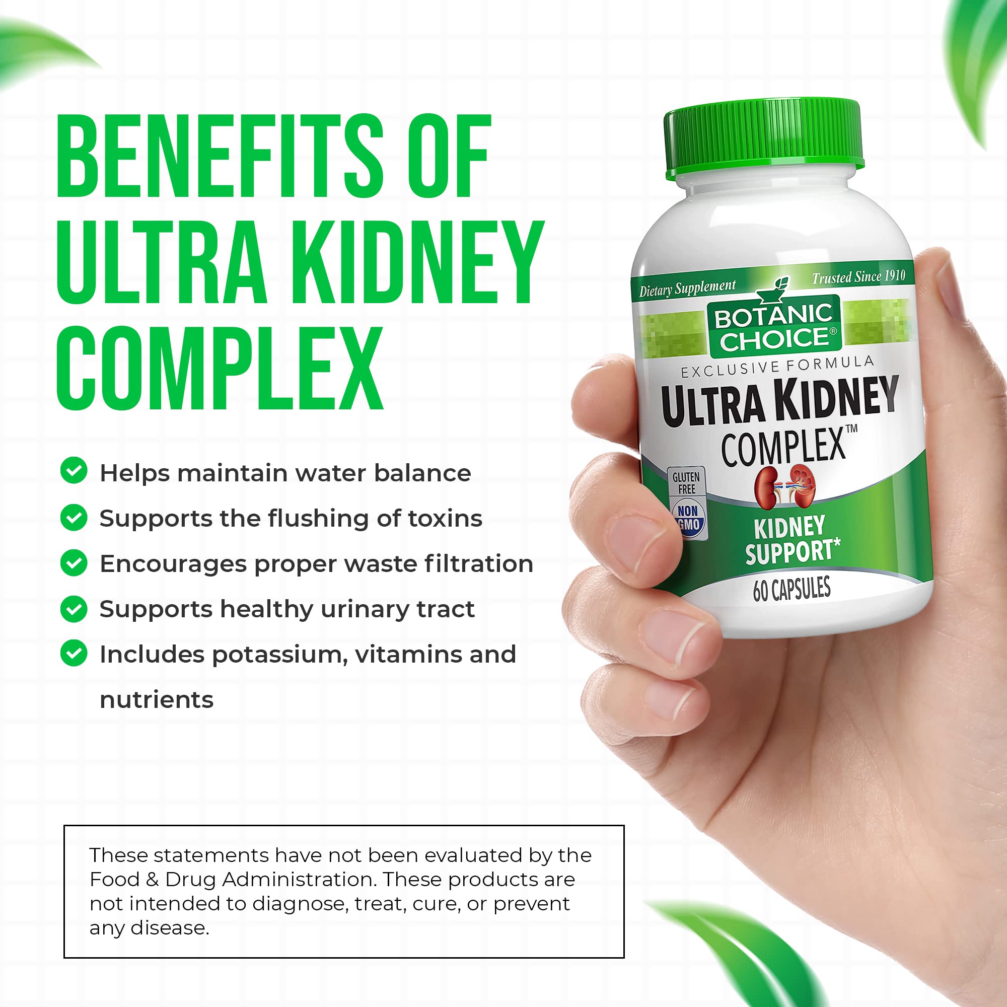 Botanic Choice Ultra Kidney Capsules, Kidney Support Formula with