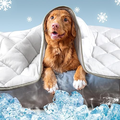Leekalos Tapete refrescante para perros, almohadillas refrescantes para mascotas para perros, manta refrescante de verano para gatos, cojín portátil