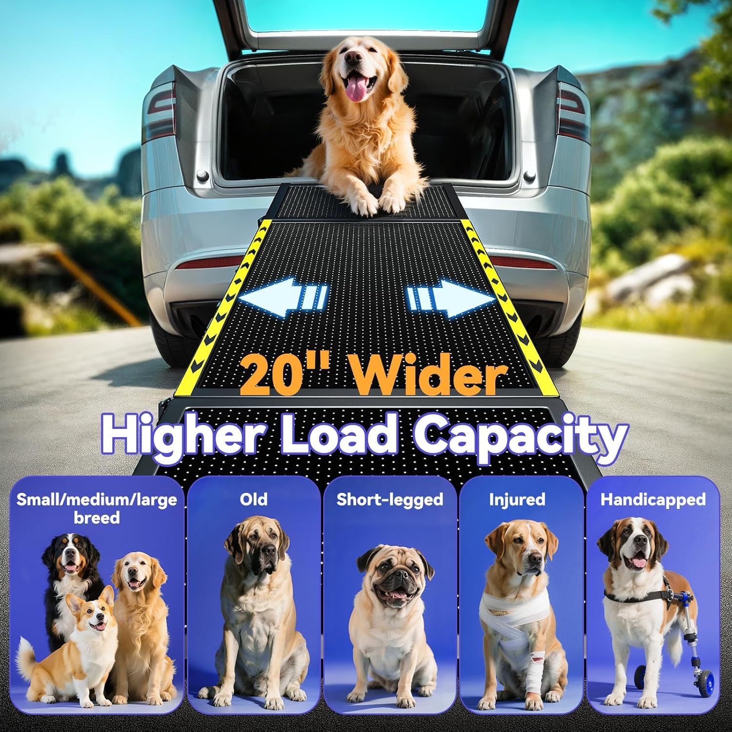 Rampe pour chien de 170,7 cm de long et 50,8 cm de large pour voiture – Rampe portable extra large pour chiens de taille moyenne et grande avec surface de tapis antidérapante, escalier pour voiture