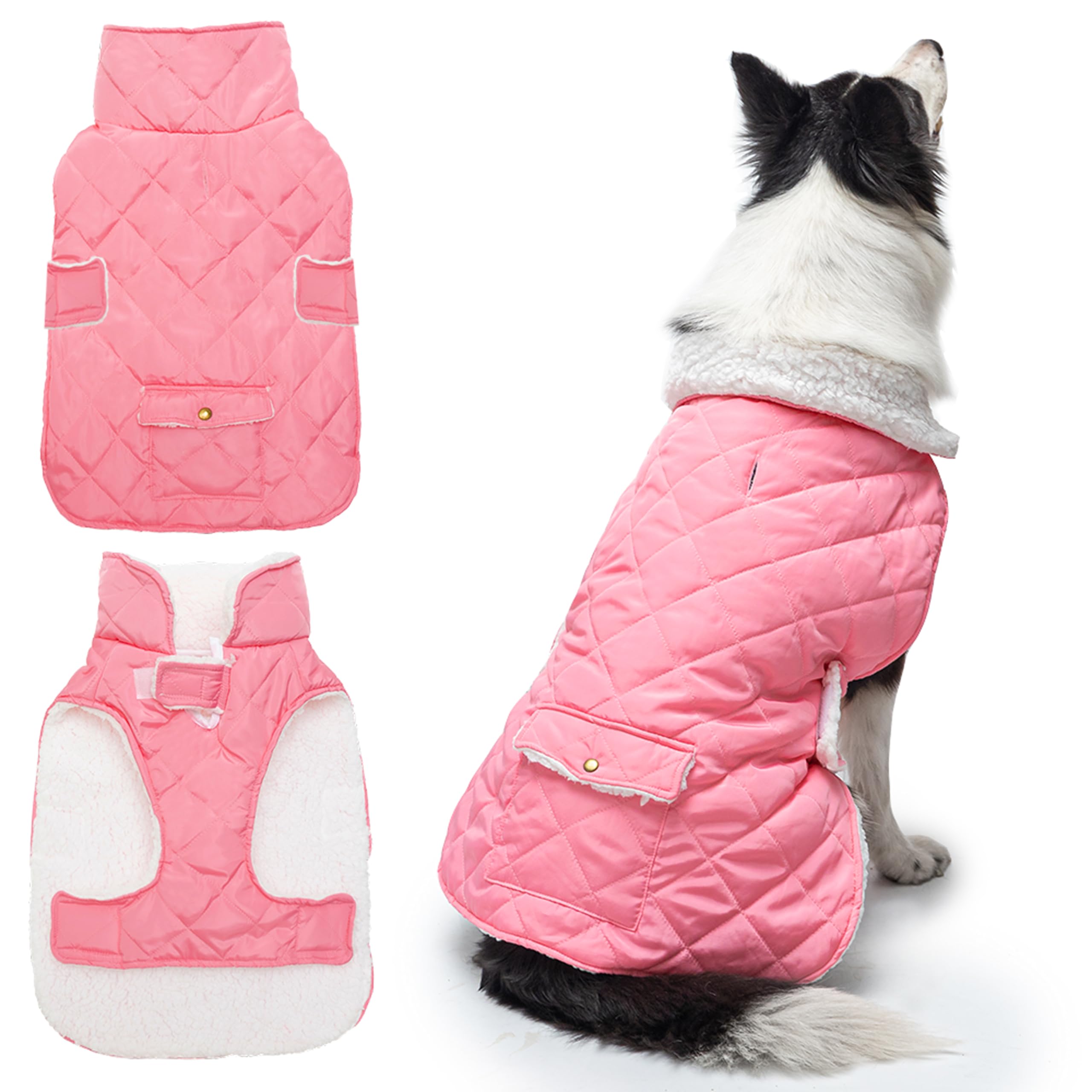 Manteau d'hiver pour chien idéal pour les balades sous la pluie