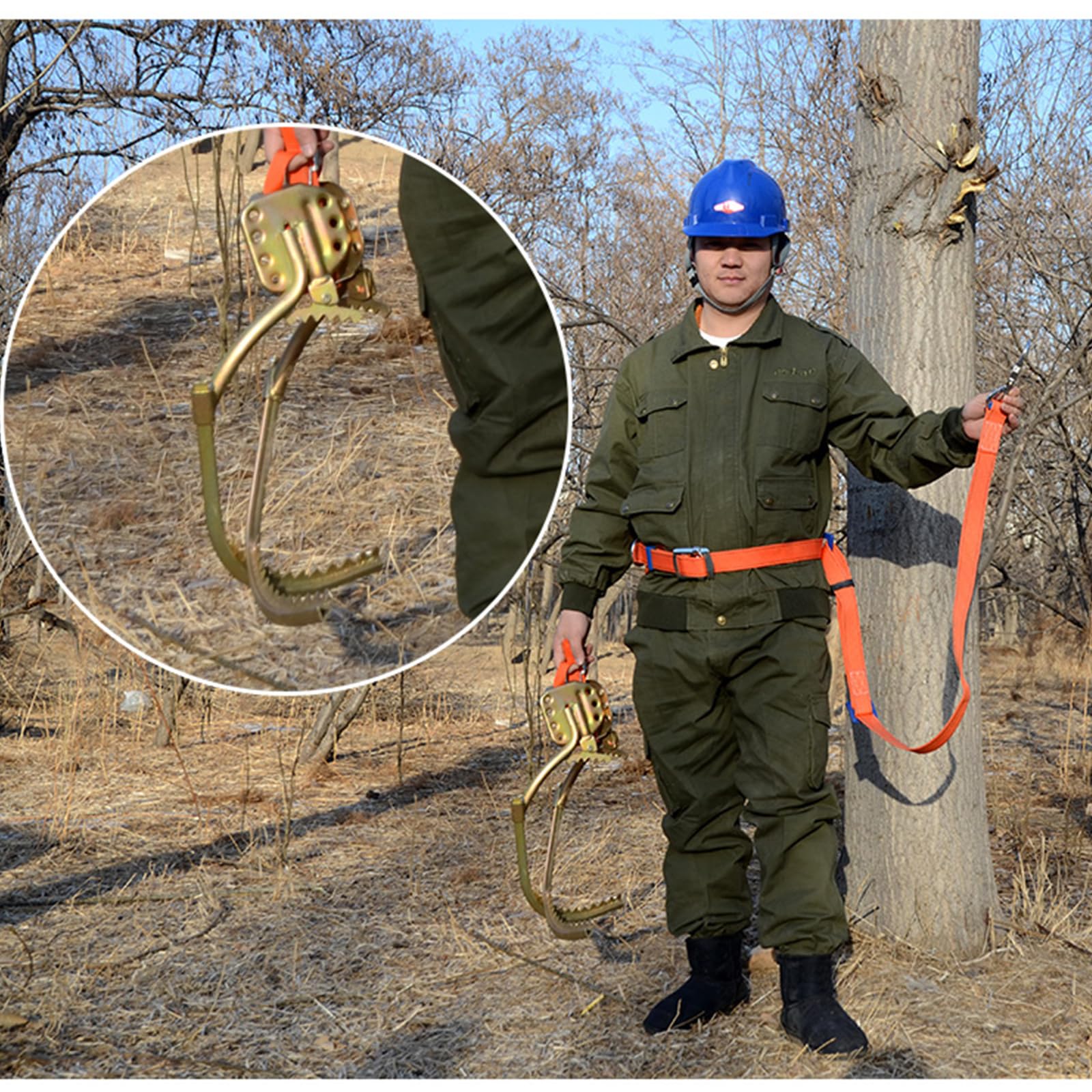 Kolce do wspinaczki na drzewa, wytrzymałe akcesoria z antypoślizgowymi gwoździami, klamra do stóp wspinaczkowych, do survivalu na świeżym powietrzu, zbierania owoców i arborystów, profesjonalny sprzęt